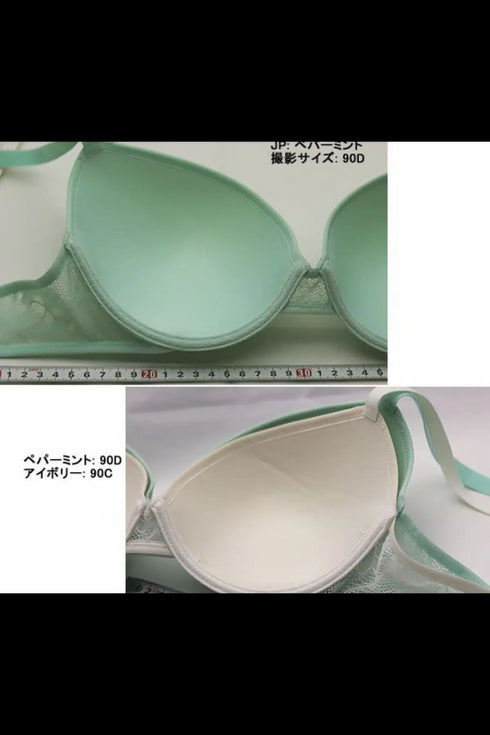 Epure Padded Underwire Bra